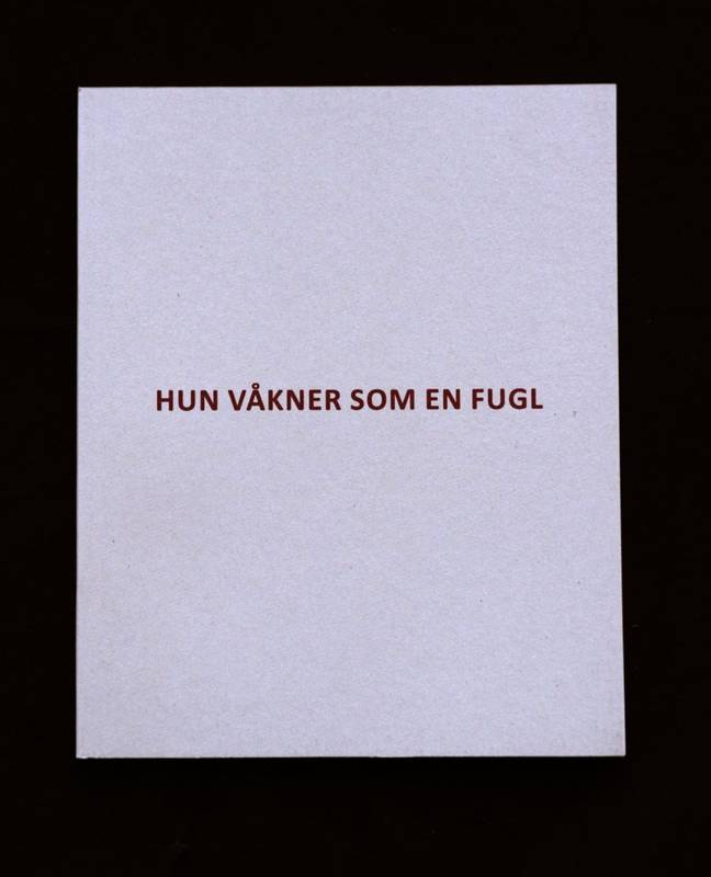 Brita Skybak - HUN VÅKNER SOM EN FUGL