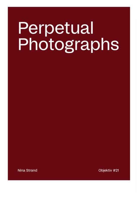 Hovedbilde Nina Strand - Perpetual Photographs
