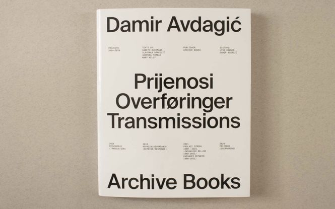 Hovedbilde Damir Avdagic - Prijenosi / Overføringer / ...